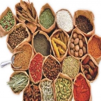 蒸發光散射檢測法在中藥領域蘊藏極大的效用